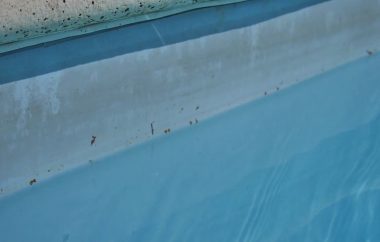 Nettoyer liner piscine astuce éponge magique