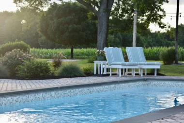 Algues noires de piscine : pourquoi elles résistent et comment les éradiquer